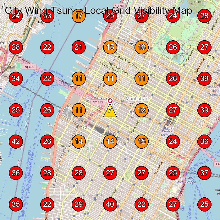 City Wing Tsun GeoGrid visibility map for Martial Arts School in New York
